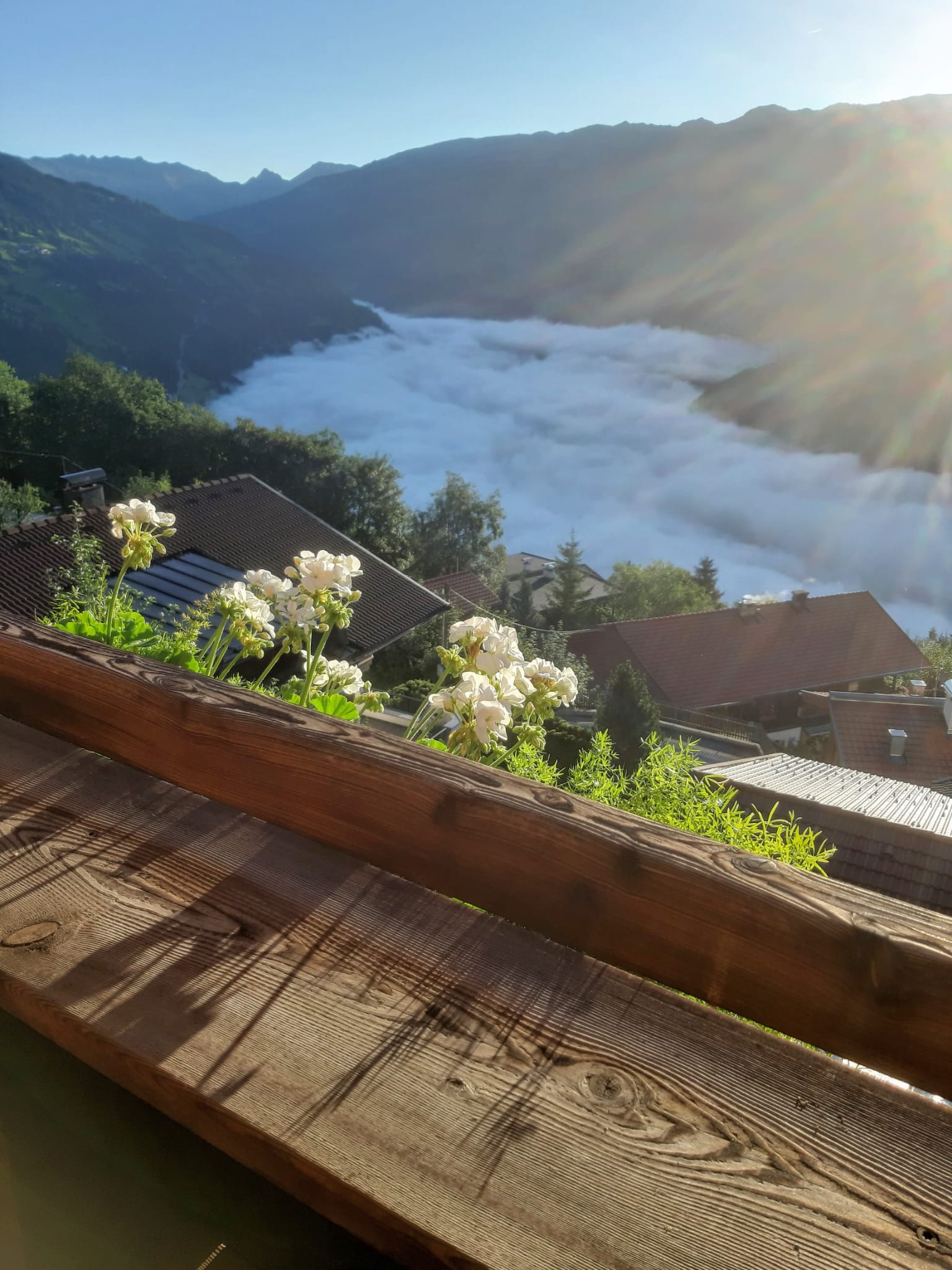 20241021_084856000_iOS_2_w4g5ws