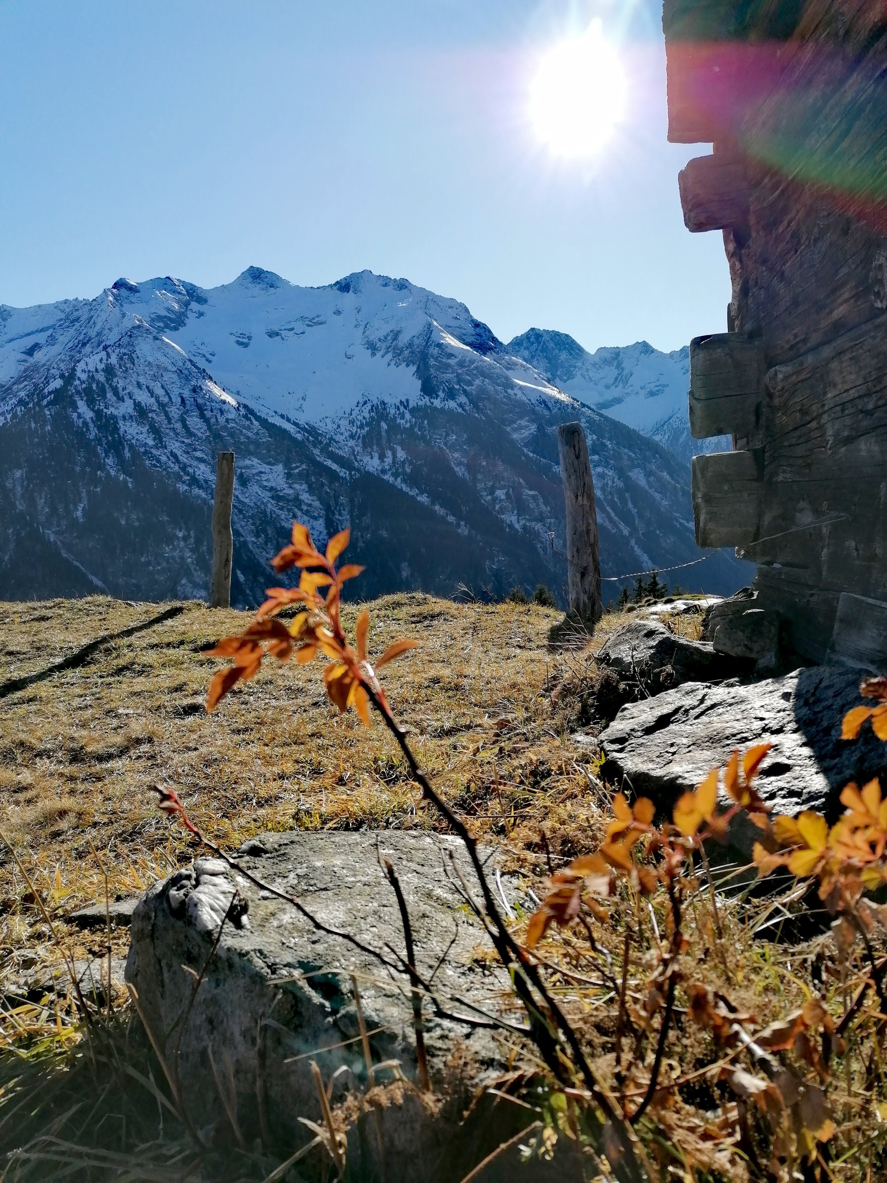 IMG_20211124_152707_ykq103